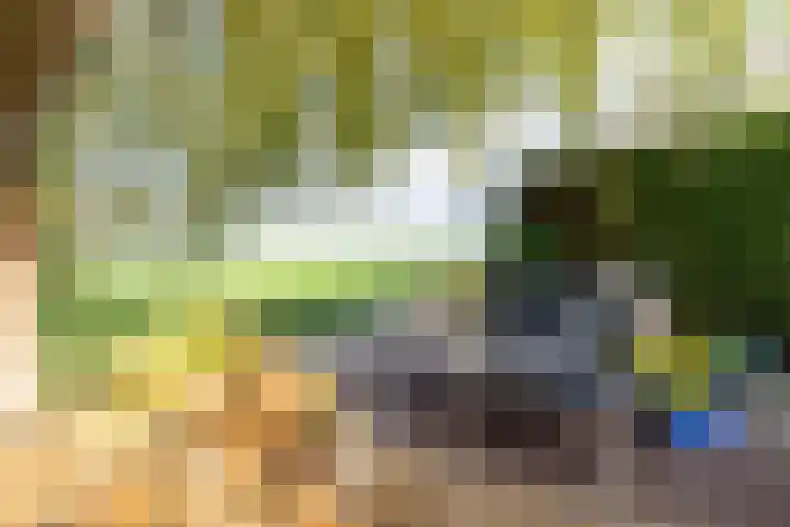 Weidezicht 2 Middenbeemster thumbnail 64