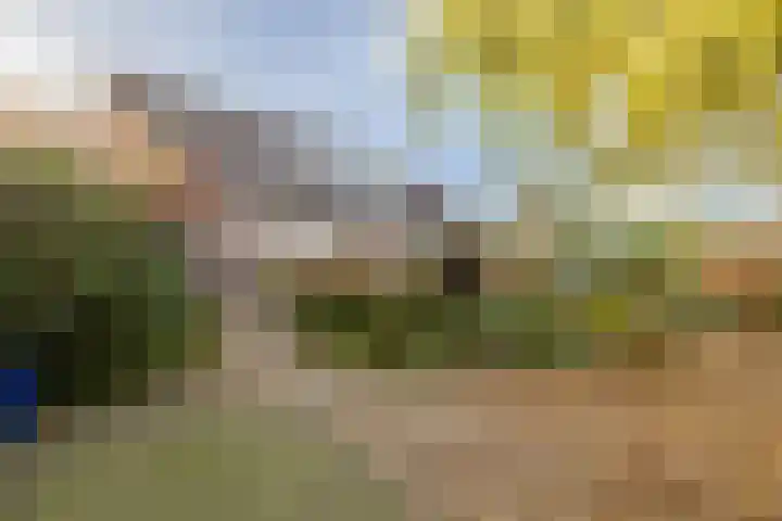 Weidezicht 2 Middenbeemster thumbnail 66
