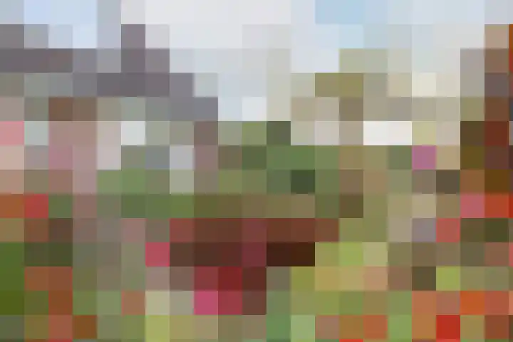 Weidezicht 2 Middenbeemster thumbnail 67