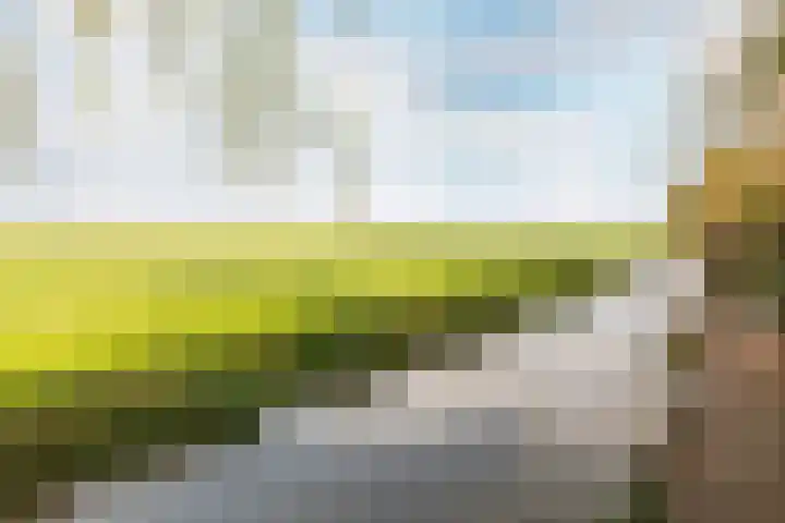 Weidezicht 2 Middenbeemster thumbnail 68