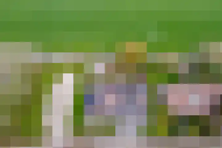 Weidezicht 2 Middenbeemster thumbnail 73