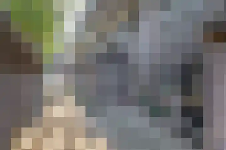 Weidezoom 10 Waddinxveen