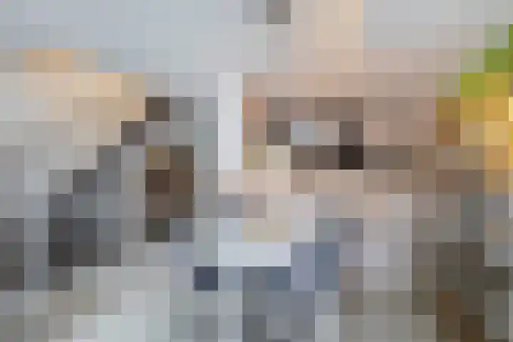 Weidezoom 10 Waddinxveen thumbnail 14