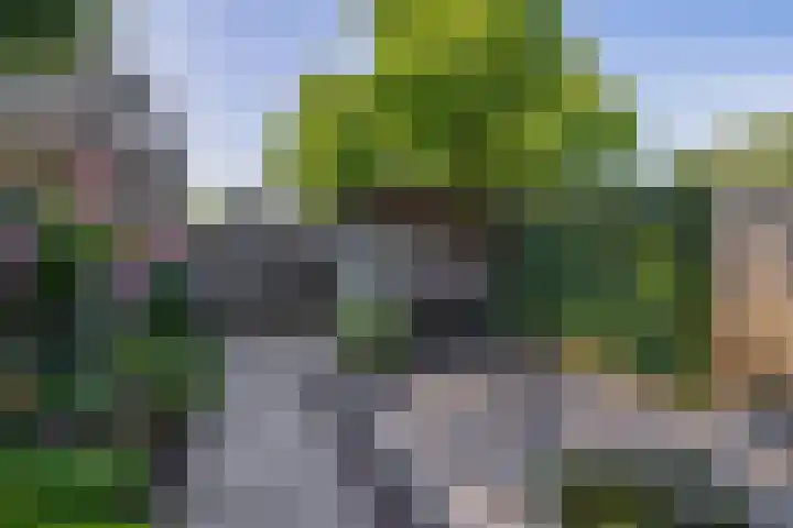 Weidezoom 10 Waddinxveen thumbnail 17