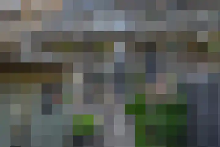 Weidezoom 10 Waddinxveen thumbnail 18