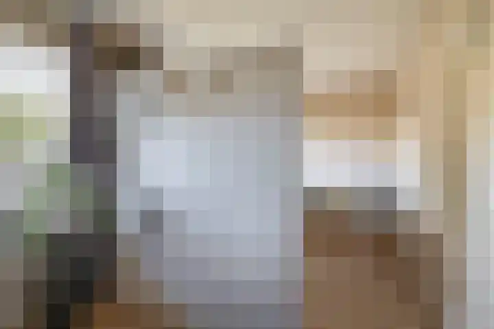 Weidezoom 10 Waddinxveen thumbnail 20