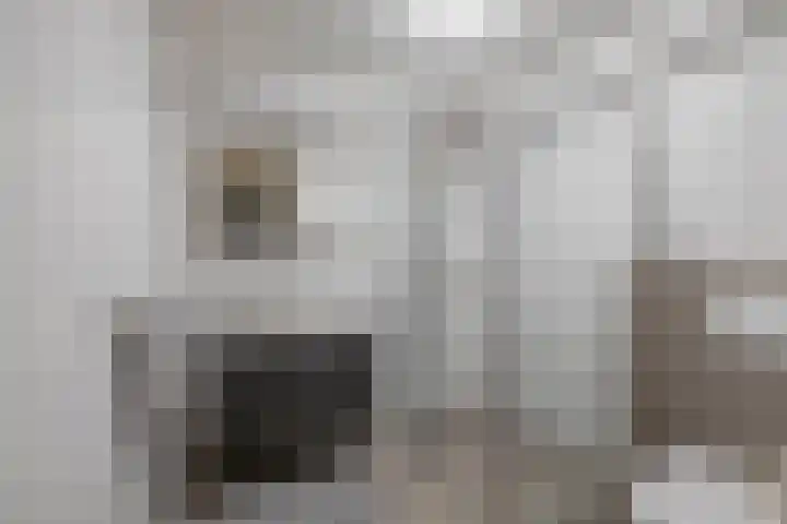 Weidezoom 10 Waddinxveen thumbnail 24