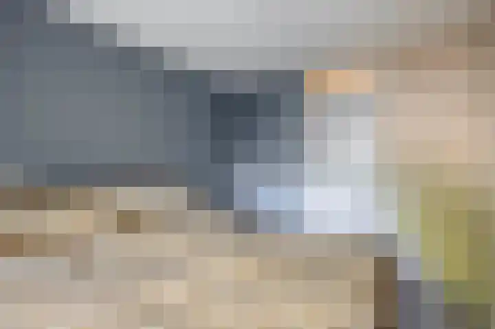 Weidezoom 10 Waddinxveen thumbnail 28