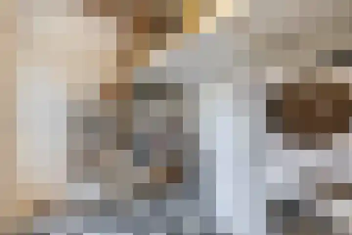 Weidezoom 10 Waddinxveen thumbnail 29
