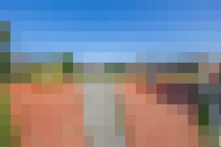 Weidezoom 10 Waddinxveen thumbnail 31