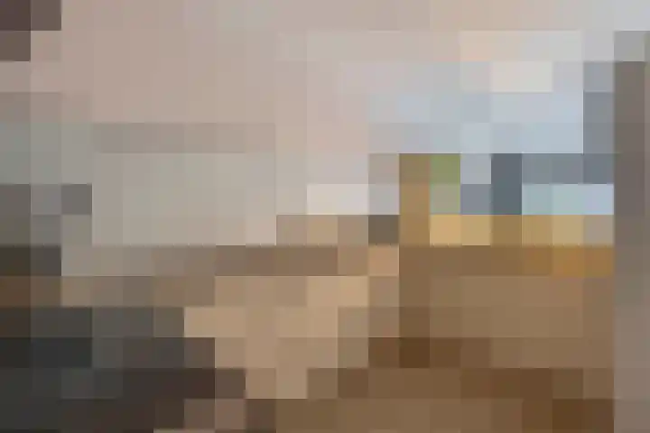 Weidezoom 10 Waddinxveen thumbnail 7