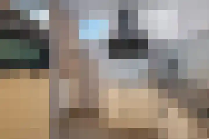Weidezoom 10 Waddinxveen thumbnail 9