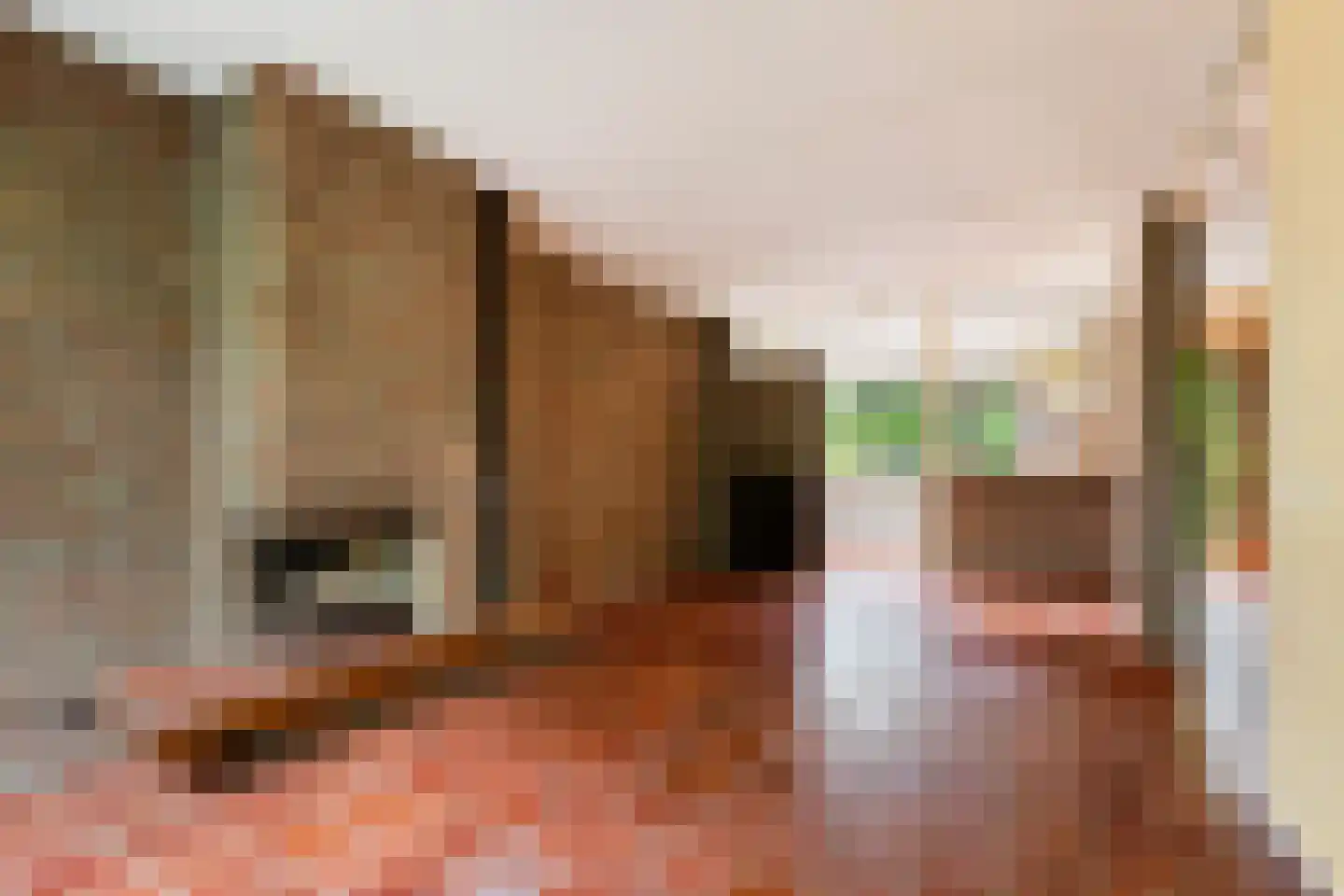 Weidezoom 14 Moordrecht thumbnail 10