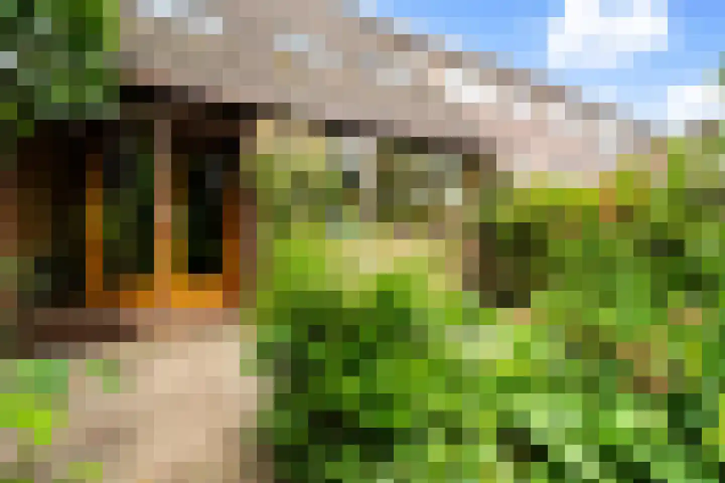 Weidezoom 14 Moordrecht thumbnail 43