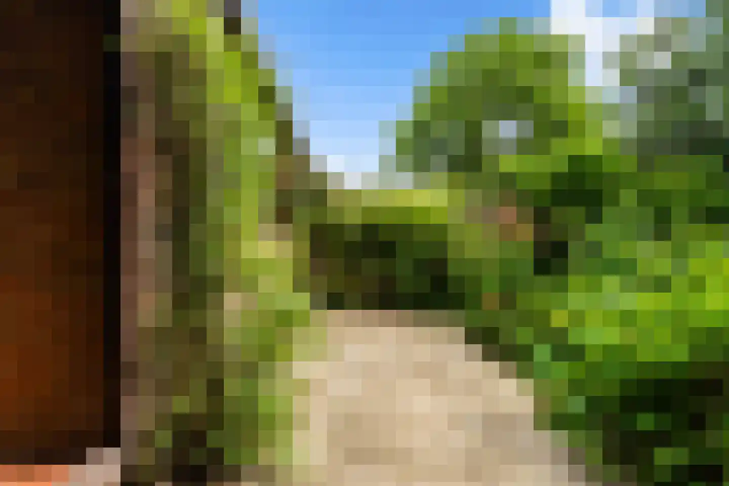 Weidezoom 14 Moordrecht thumbnail 44