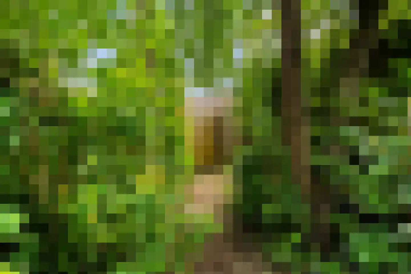 Weidezoom 14 Moordrecht thumbnail 46