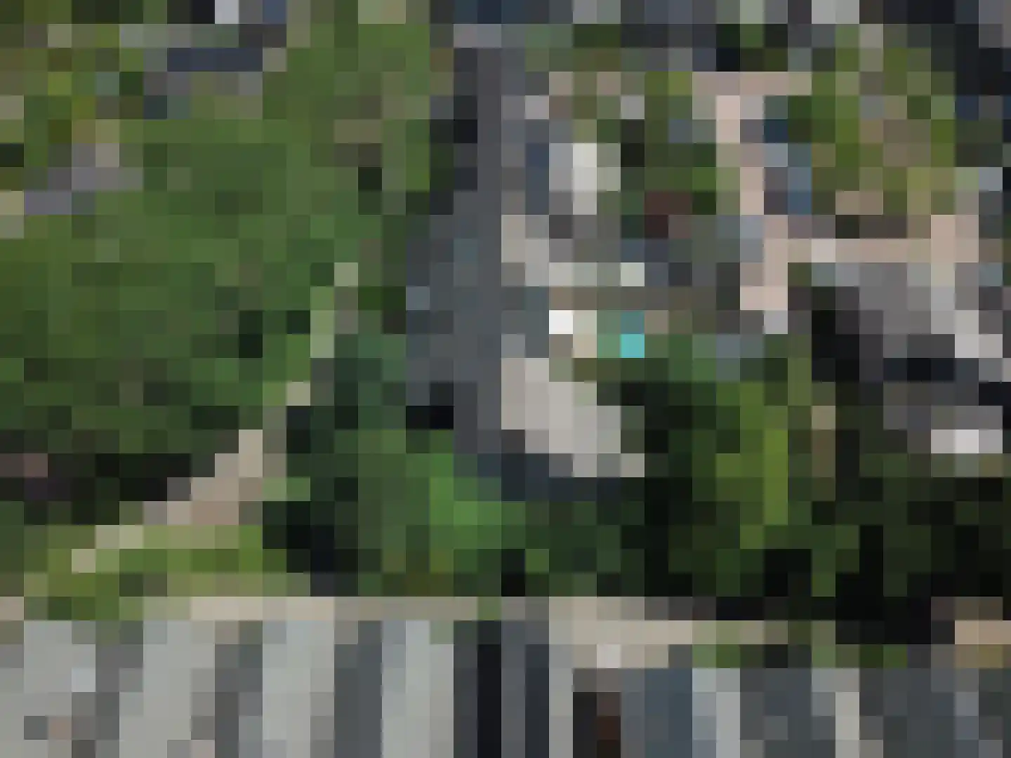 Weidezoom 14 Moordrecht thumbnail 49