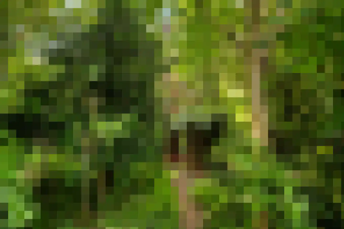 Weidezoom 14 Moordrecht thumbnail 5