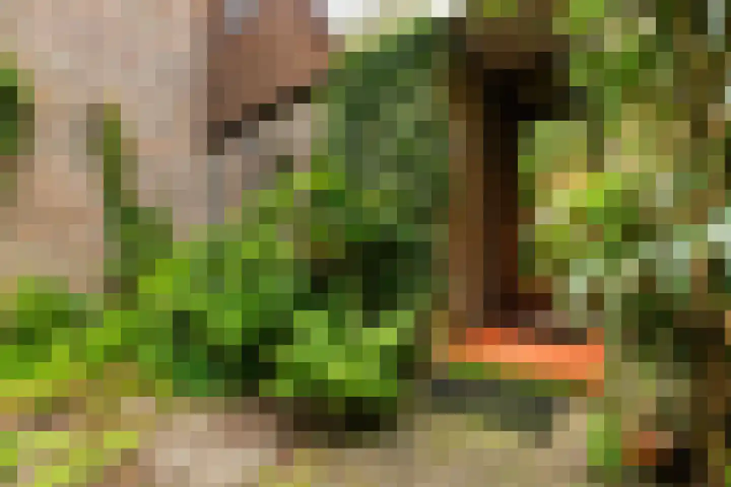 Weidezoom 14 Moordrecht thumbnail 6