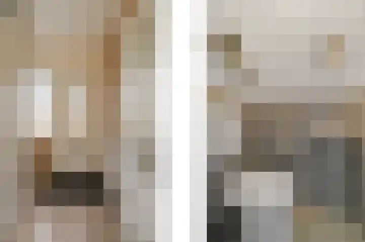 Weidezoom 14 Waddinxveen thumbnail 16