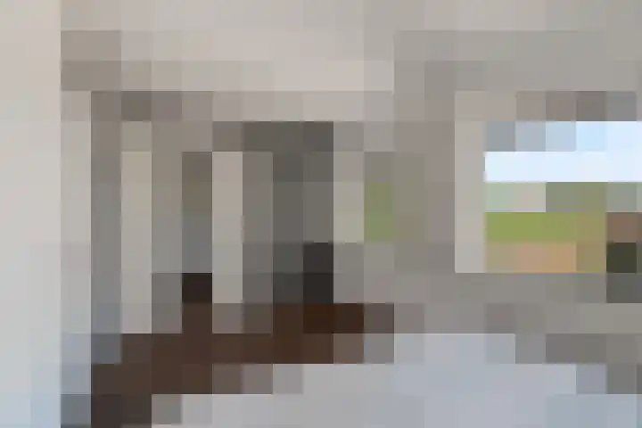 Weidezoom 14 Waddinxveen thumbnail 18