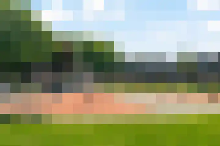 Weidezoom 14 Waddinxveen thumbnail 30