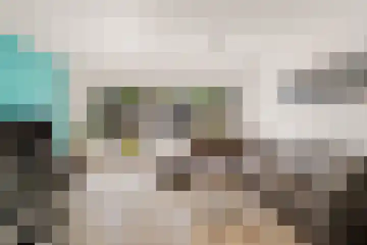 Weidezoom 14 Waddinxveen thumbnail 6