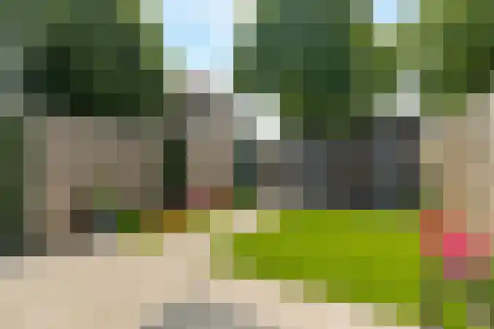 Weidezoom 14 Waddinxveen thumbnail 7