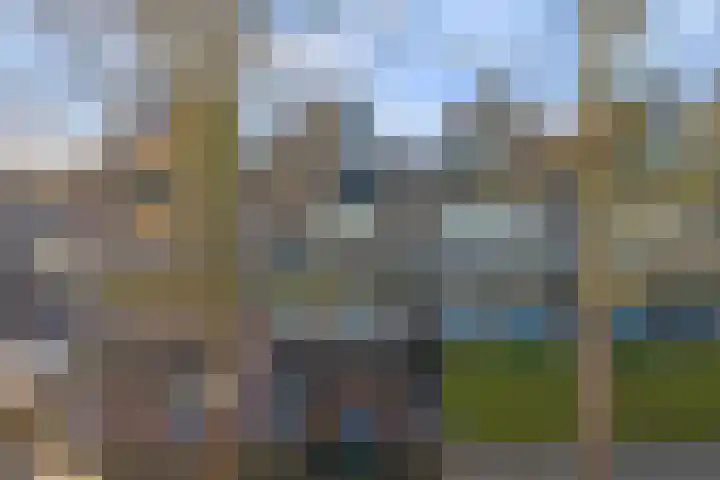 Weidezoom 22 en Waddinxveen
