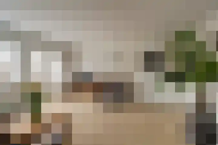 Weidezoom 22 Waddinxveen thumbnail 10