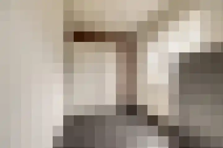 Weidezoom 22 Waddinxveen thumbnail 13