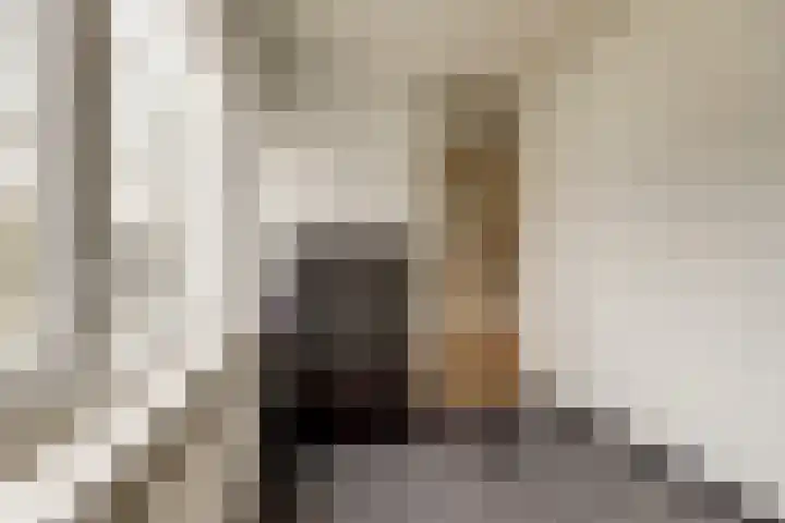 Weidezoom 22 Waddinxveen thumbnail 14