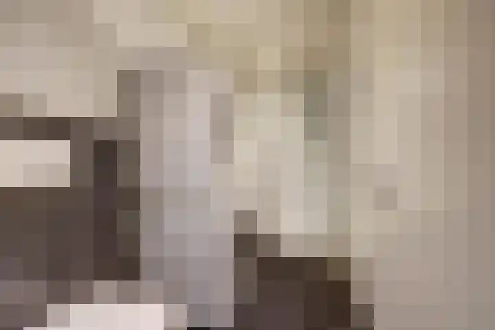 Weidezoom 22 Waddinxveen thumbnail 15