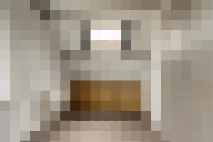 Weidezoom 22 Waddinxveen thumbnail 23