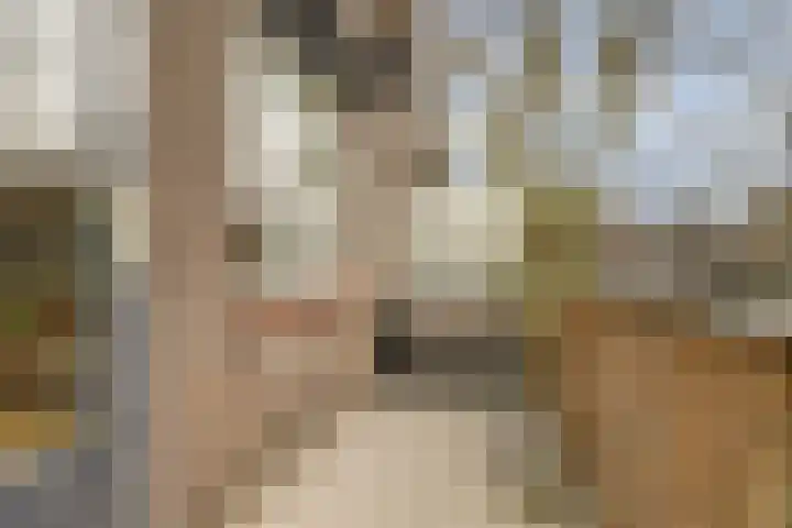 Weidezoom 22 Waddinxveen thumbnail 24