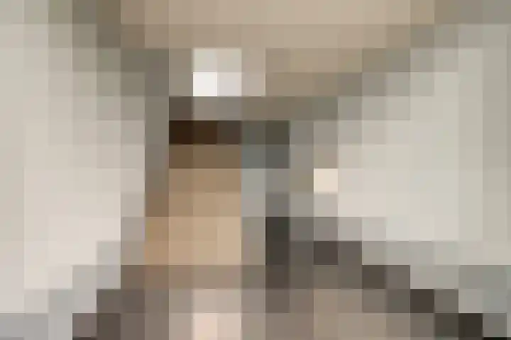 Weidezoom 22 Waddinxveen thumbnail 27