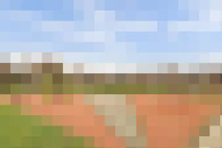 Weidezoom 22 Waddinxveen thumbnail 28