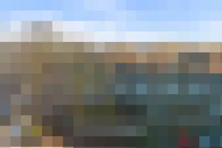 Weidezoom 22 Waddinxveen thumbnail 29