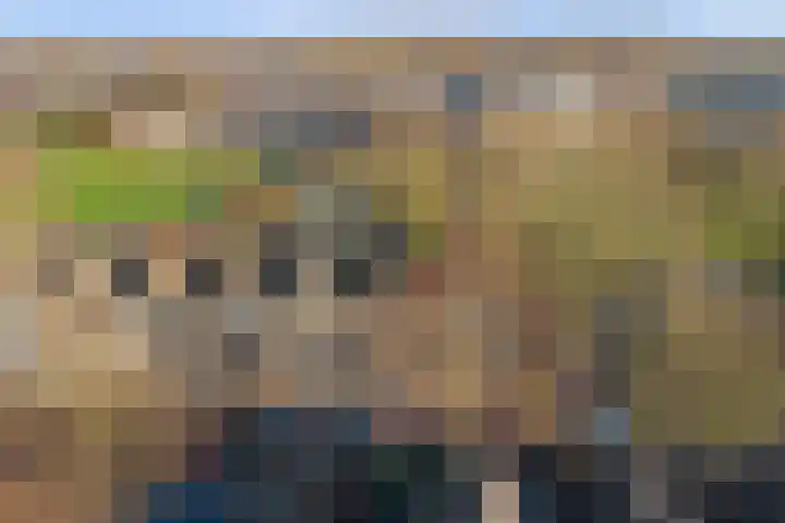 Weidezoom 22 Waddinxveen thumbnail 30