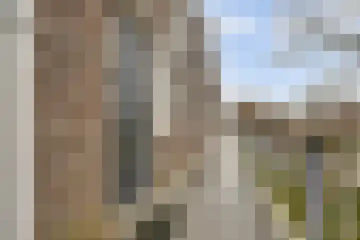 Weidezoom 22 Waddinxveen thumbnail 4