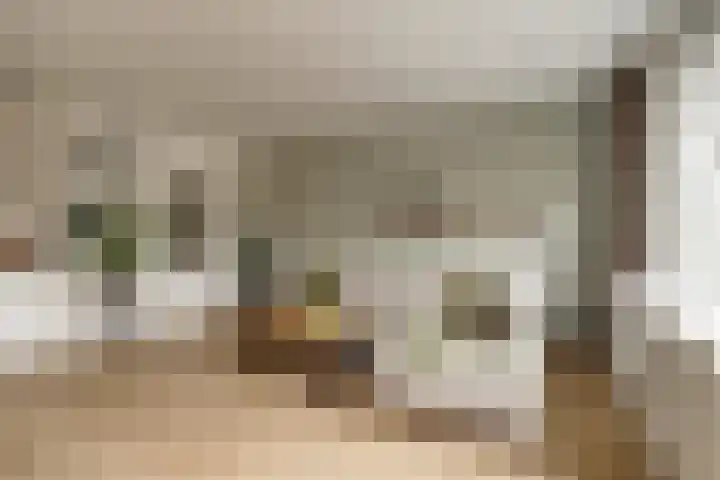 Weidezoom 22 Waddinxveen thumbnail 6