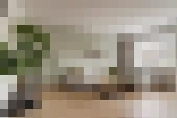Weidezoom 22 Waddinxveen thumbnail 8