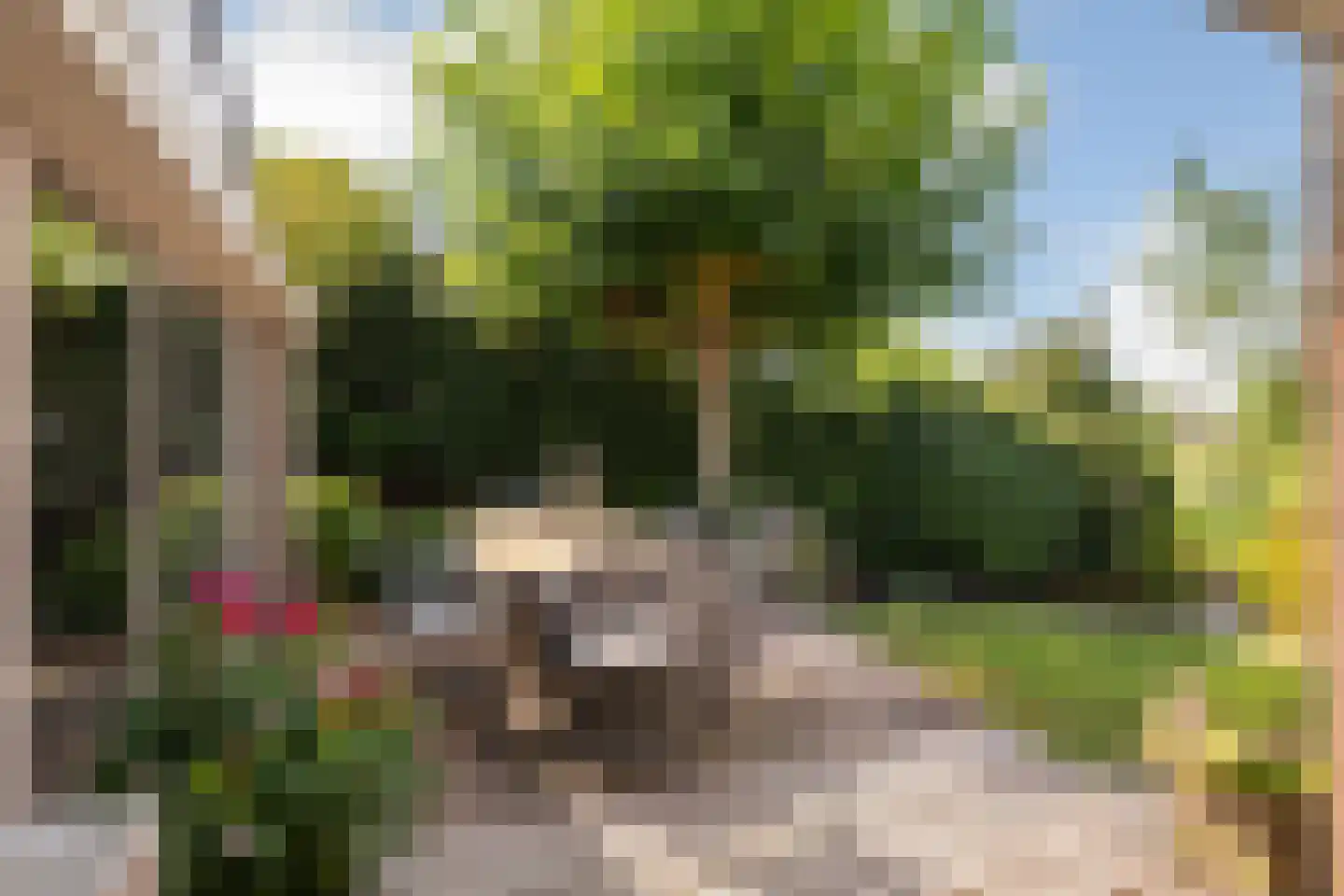 Weidezoom 3 Moordrecht thumbnail 14