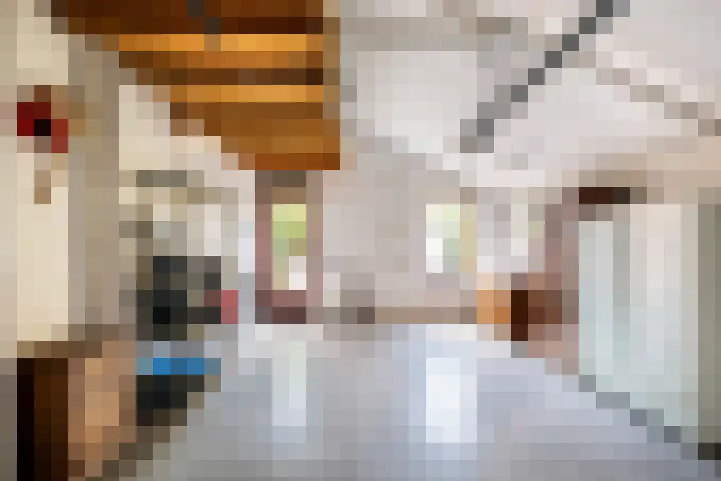 Weidezoom 3 Moordrecht thumbnail 31
