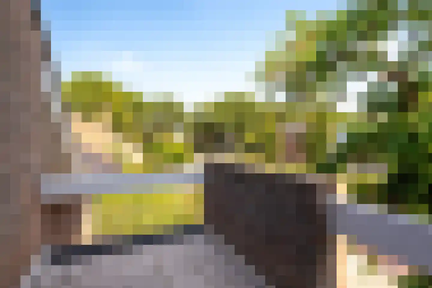 Weidezoom 3 Moordrecht thumbnail 37