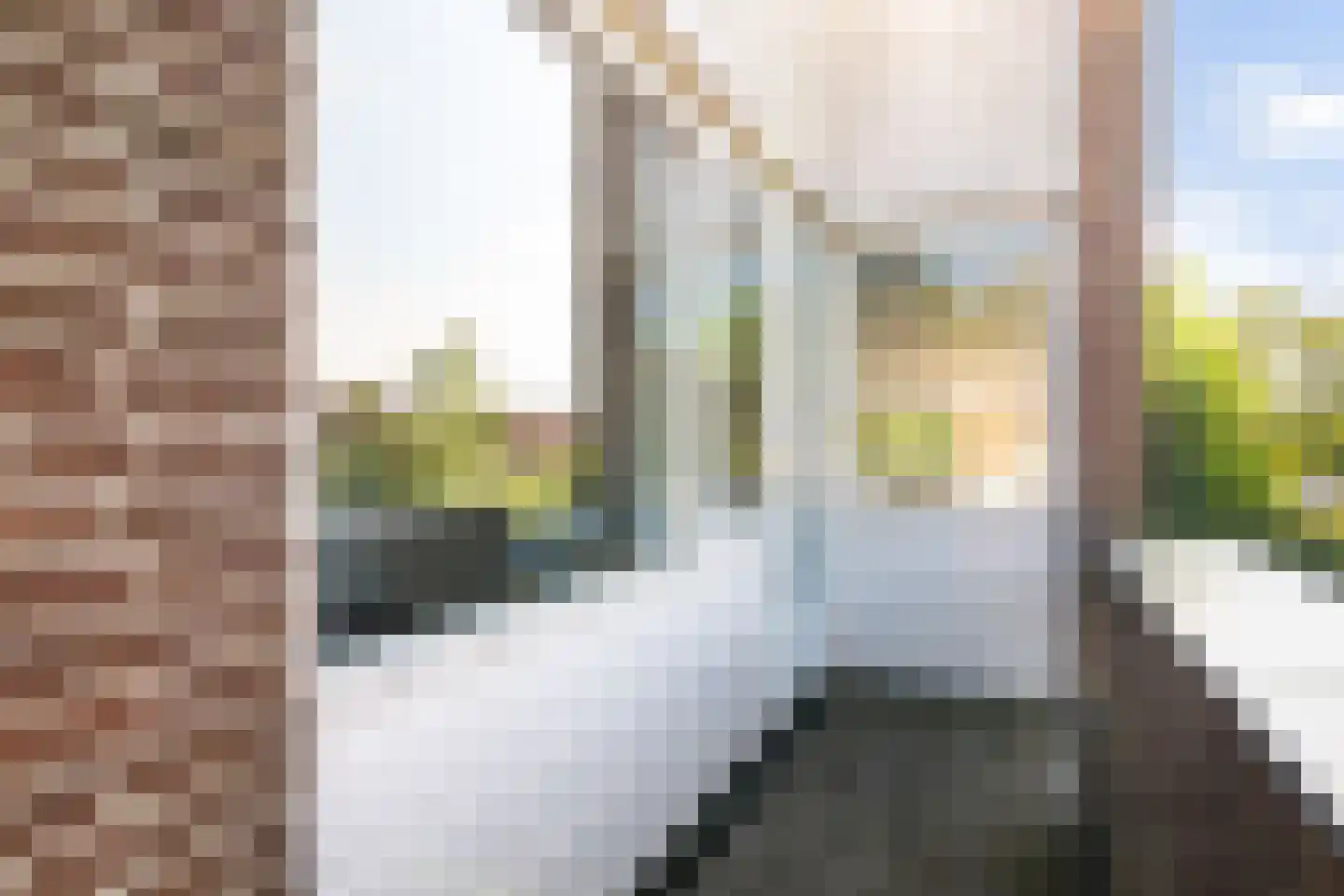 Weidezoom 3 Moordrecht thumbnail 46