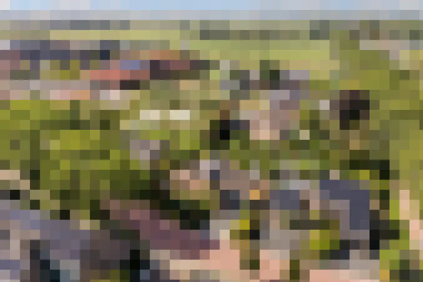 Weidezoom 3 Moordrecht thumbnail 5