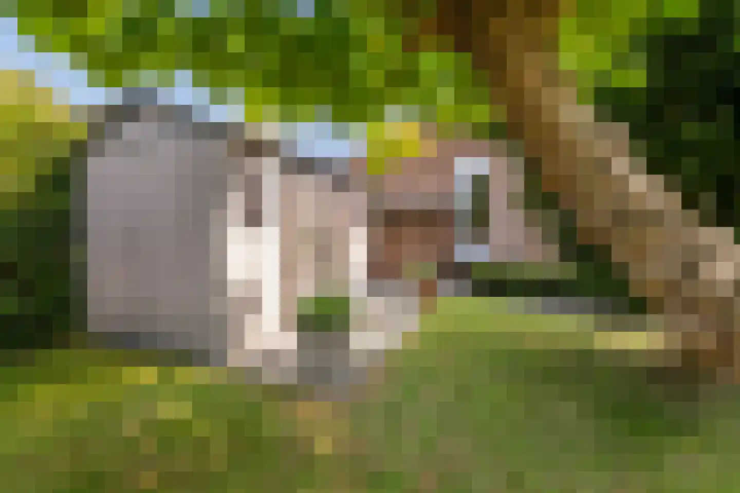 Weidezoom 3 Moordrecht thumbnail 51