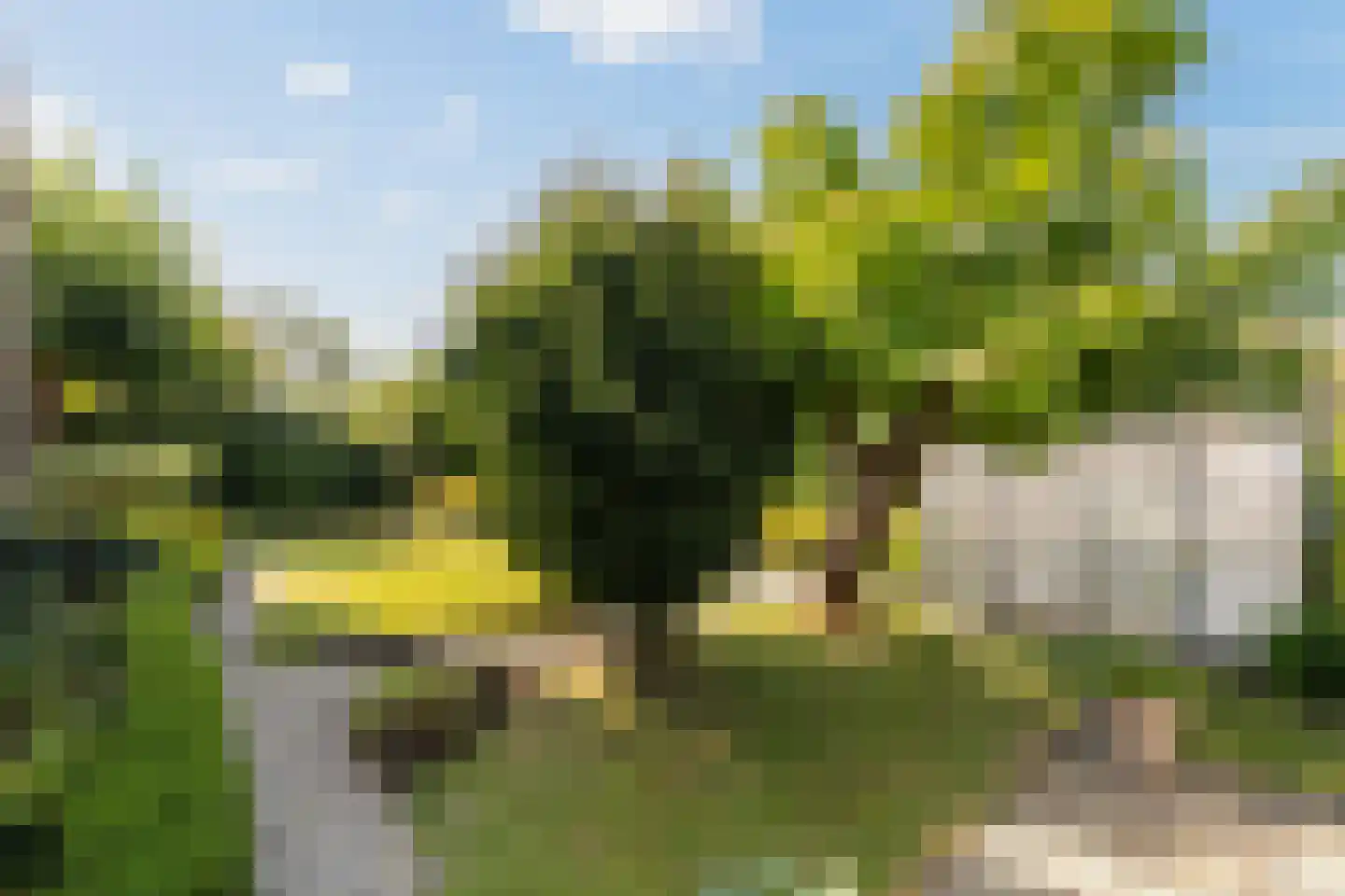 Weidezoom 3 Moordrecht thumbnail 52