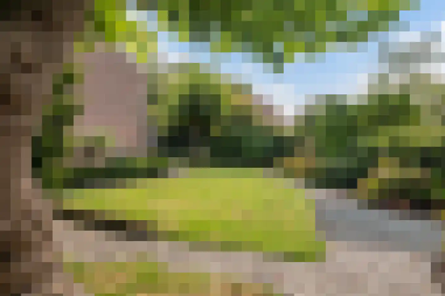 Weidezoom 3 Moordrecht thumbnail 53